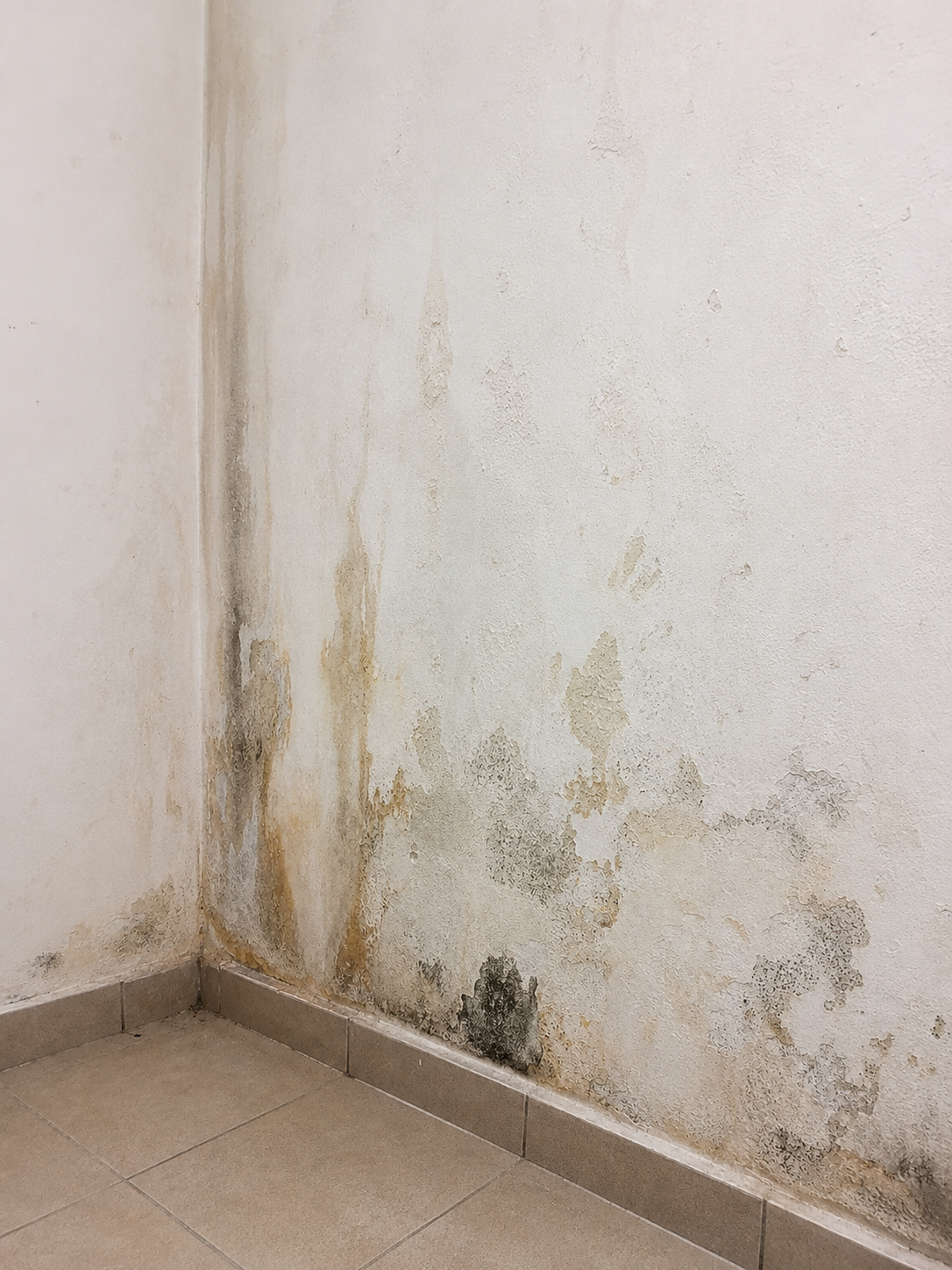 mur-humidite-interieur-maison Traitement de l’humidité